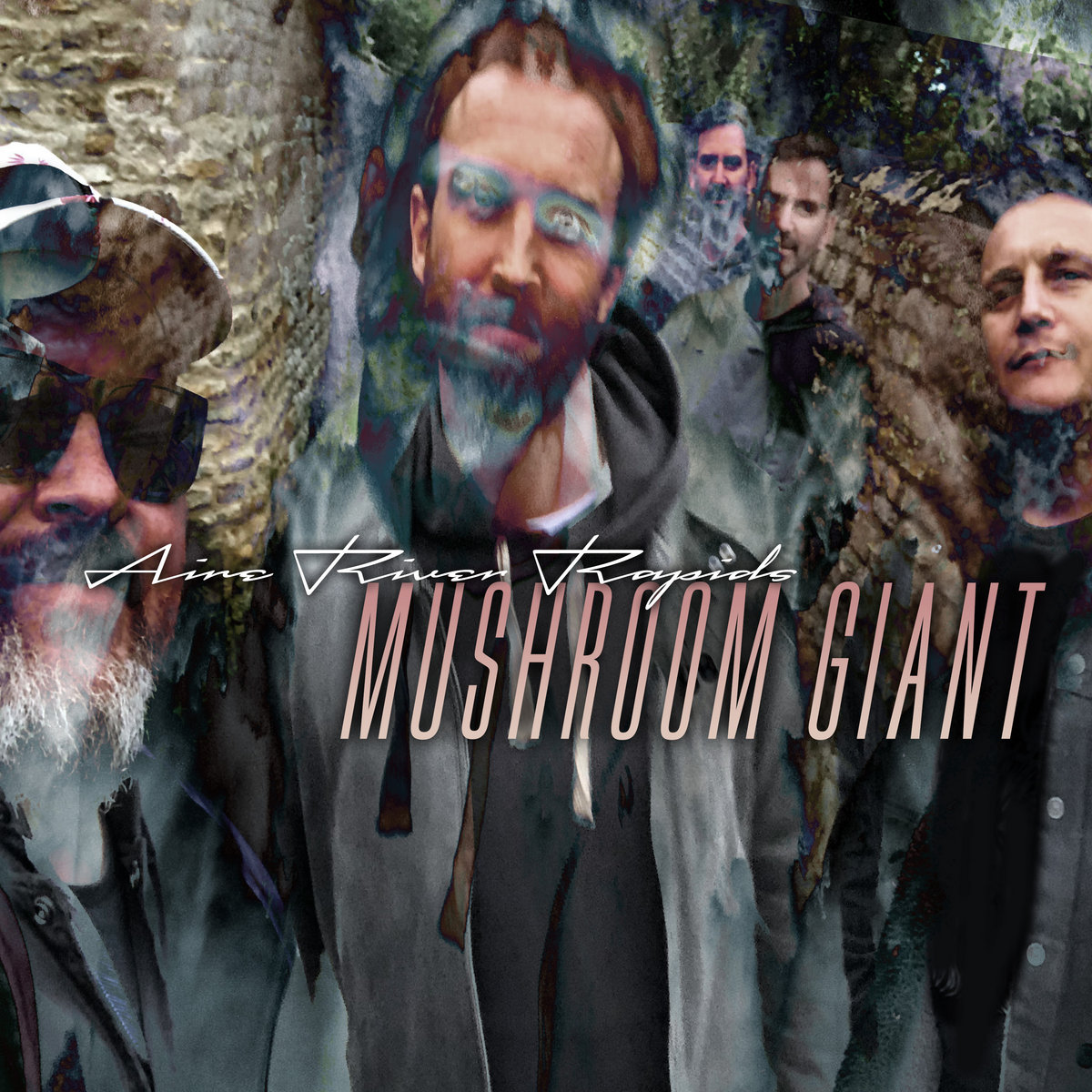 IN A FOREST (album) | MUSHROOM GIANT