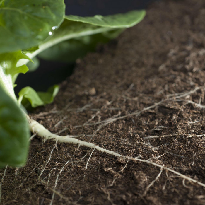 Carl's Guide Sims 3 Generations Serial Code Vijikayl pertingweblalon