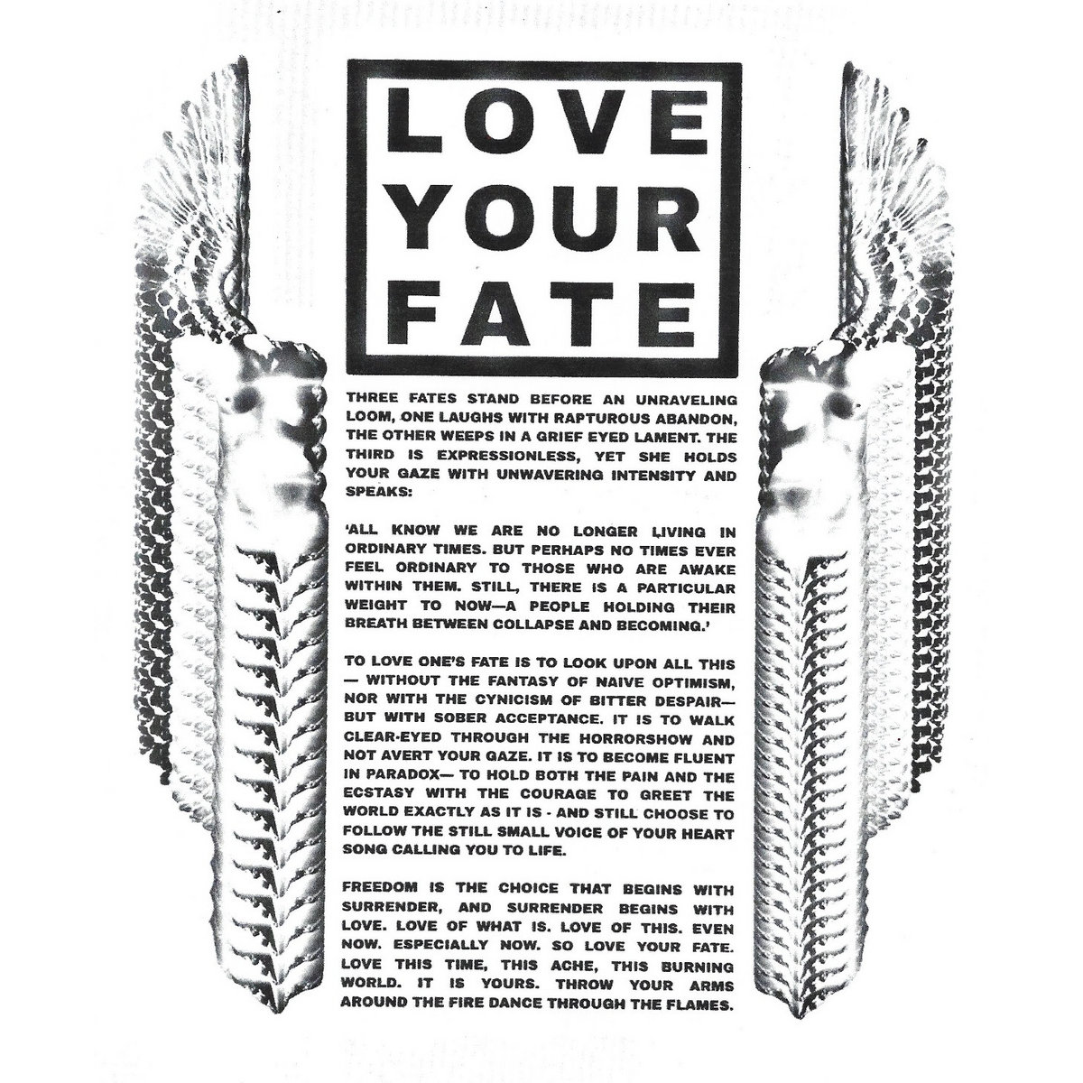 Love Your Fate | WU LYF