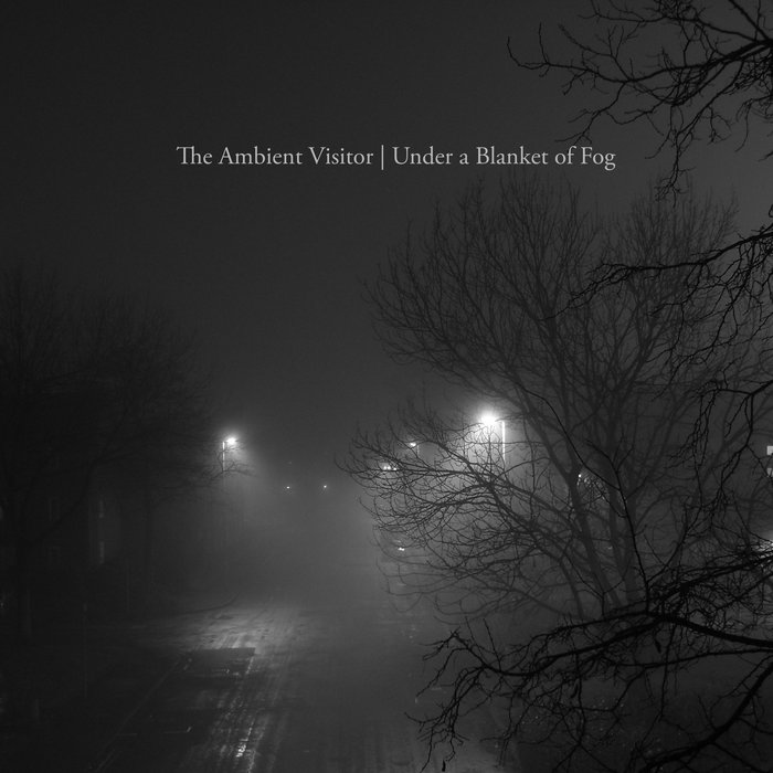 Under a Blanket of Fog The Ambient Visitor