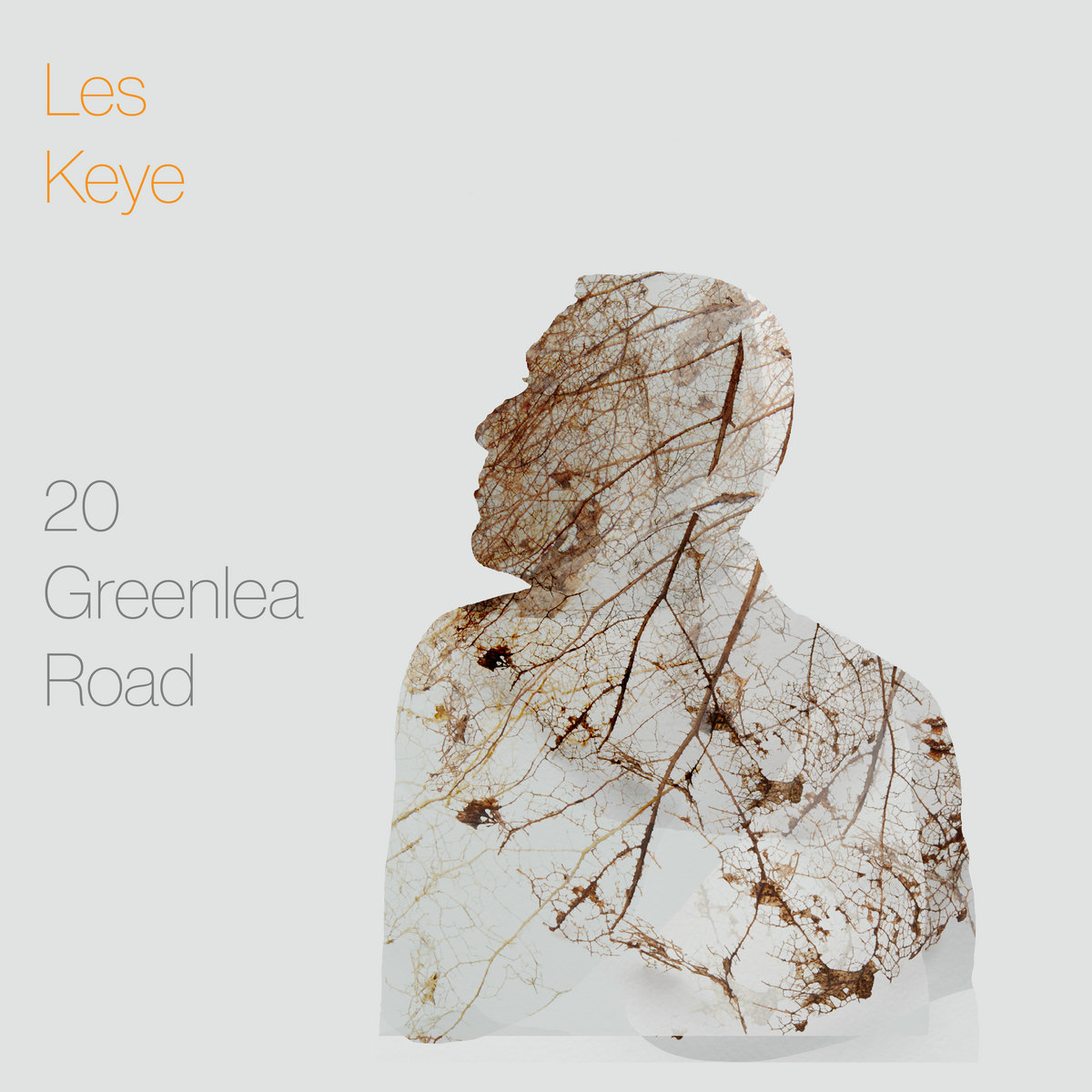 20 Greenlea Road cover