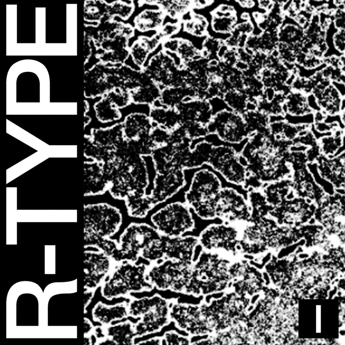 R-TYPE I by HEALTH