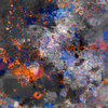 predawnrecords.bandcamp.com