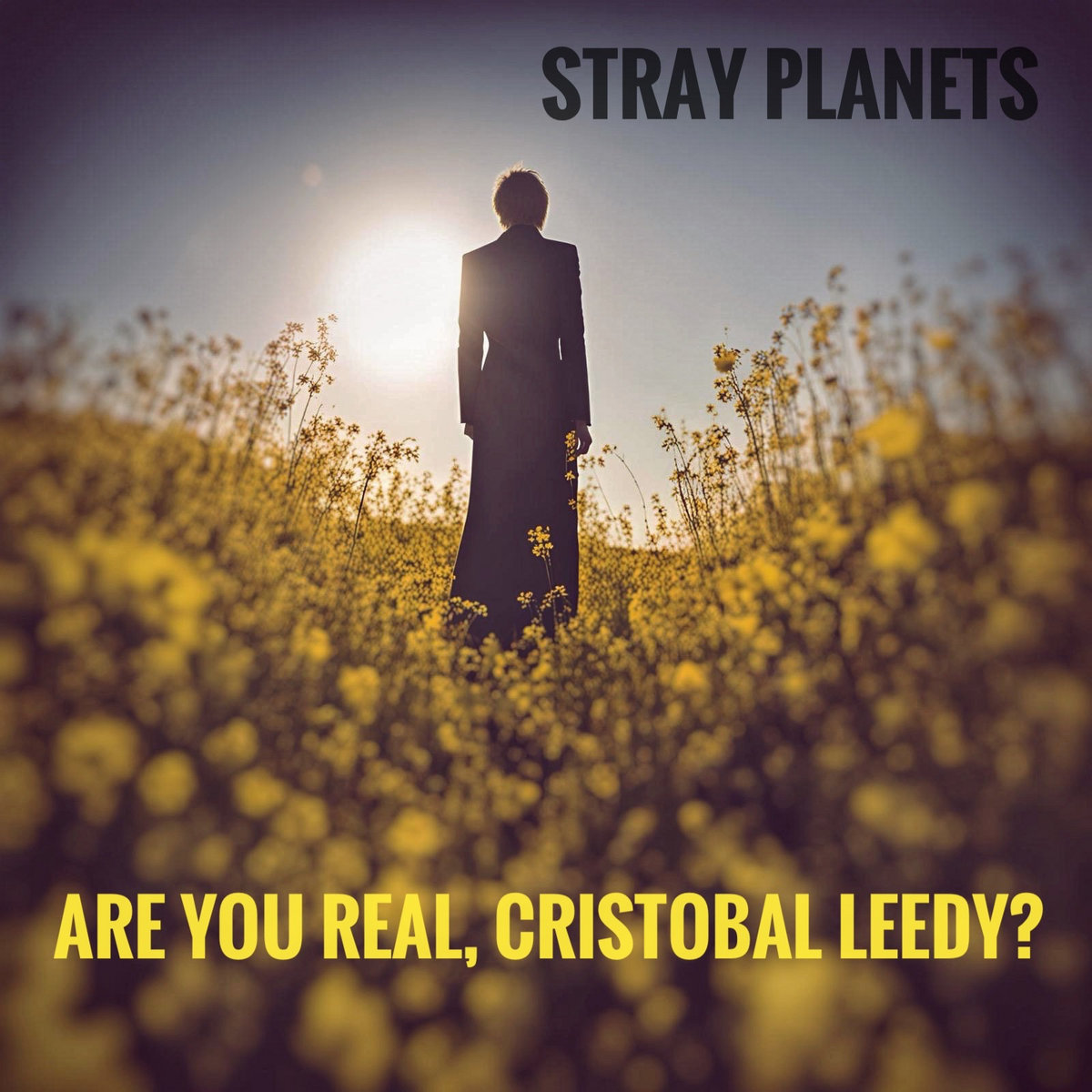 Are You Real, Cristobal Leedy? cover
