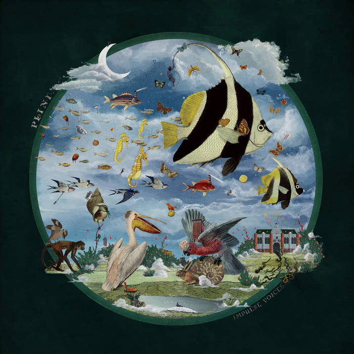 洋楽 Plini / Impulse Voices Impulse Voices | Plini