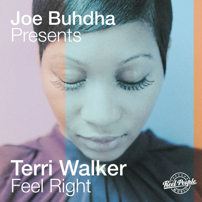 Terri Walker - Caught Up / Feel Right 洋楽 Terri Walker - Caught
