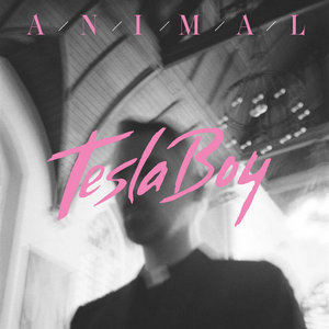Animal cover