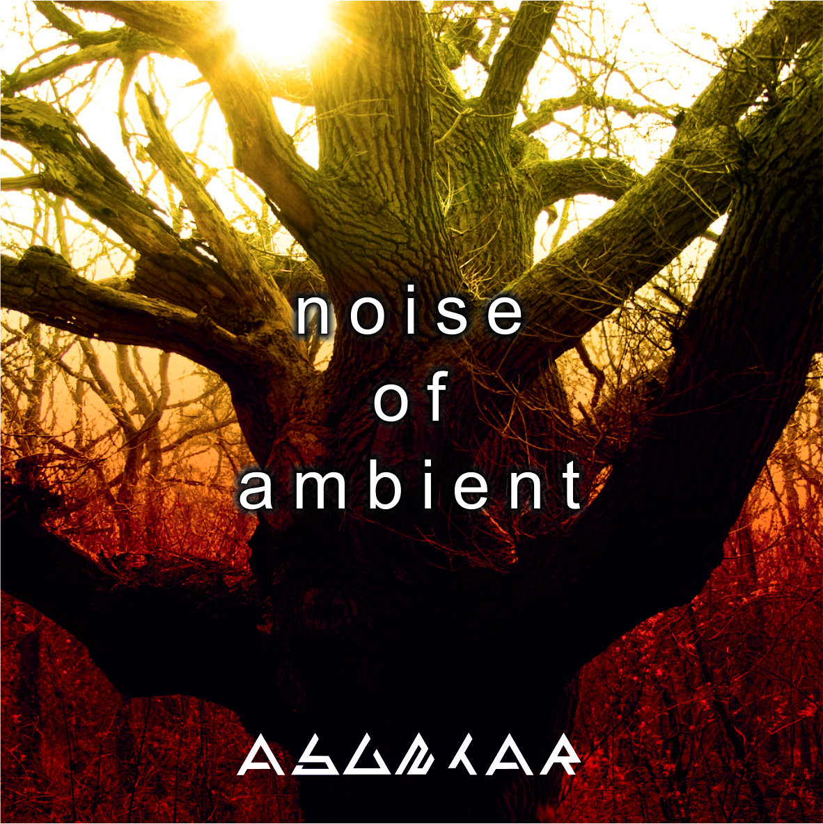 Noise of ambient - LP | Asuntar