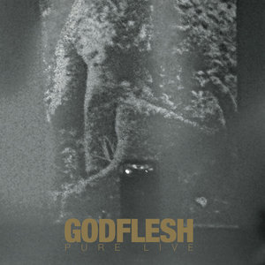 Godflesh — Pure : Live