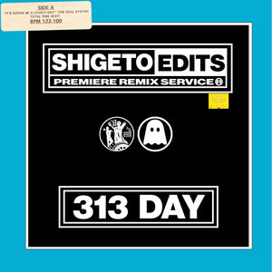 313 DAY SHIG*EDITSVarious Edited by Shigeto cover