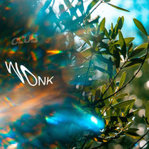 Villager — Club Wonk EP