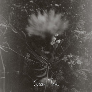 Green Tea (feat. Katie Pruitt) cover