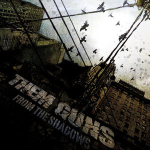 From The Shadows cover