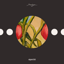 Manu (CA) — SATYADGTL052 - Pomodoro