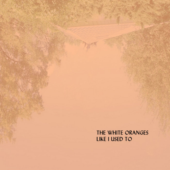 Like I Used To The White Oranges