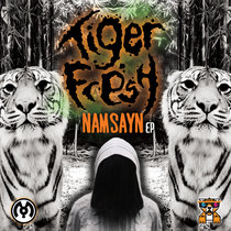 Namsayn cover art