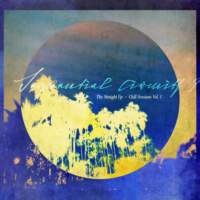 The Straight Up Chill Sessions Vol 1 Sequential Circuits 9 SC9 the-straight-up-chill-sessions-vol-1-sequential-circuits-9-sc9
