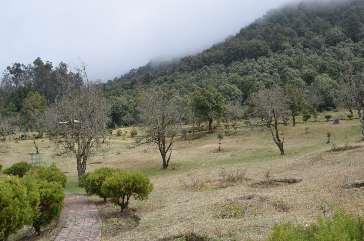 Sinhala Wela Chitra Katha