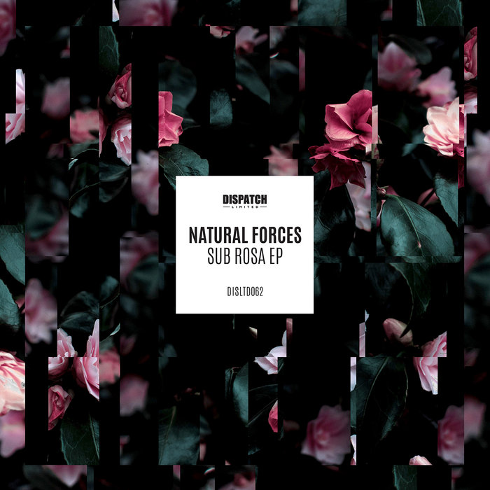 Sub Rosa Records. Discogs DISLTD062 - Sub Rosa EP | Natural Forces | Dispatch Recordings