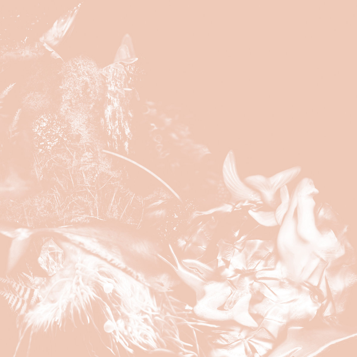 Waking, She Heard the Fluttering
