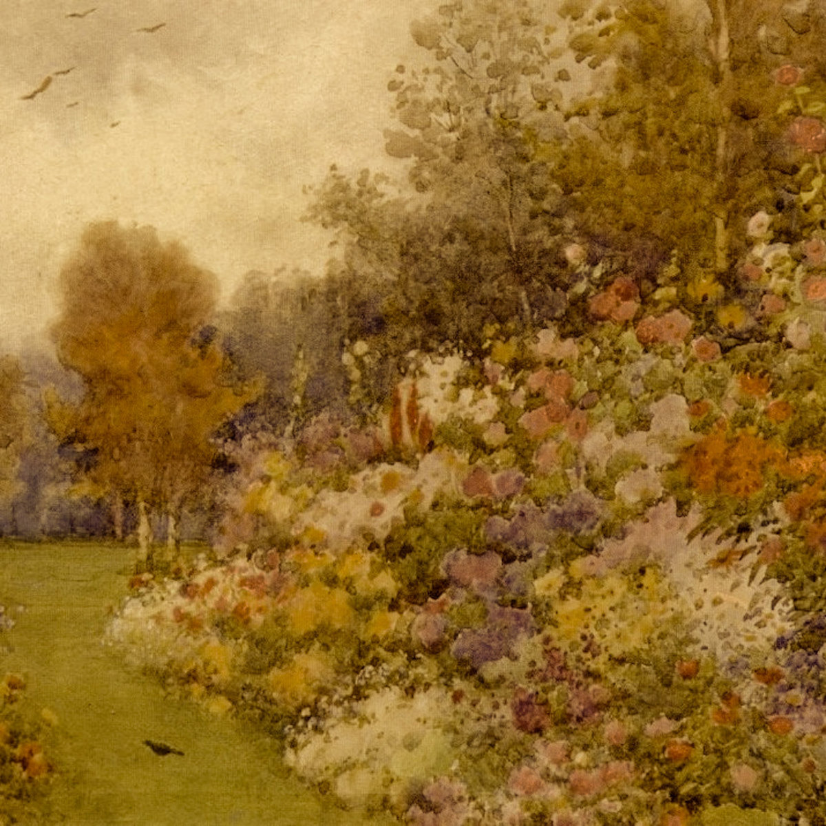 Sunday Drivers Quinn Kennedy