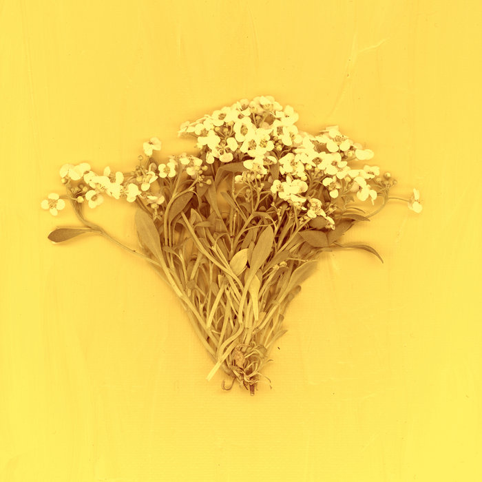 Trying — Photo