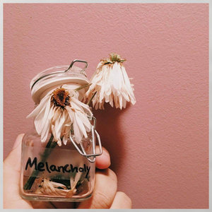 Adjust the Sails — Melancholy EP (DELUXE)