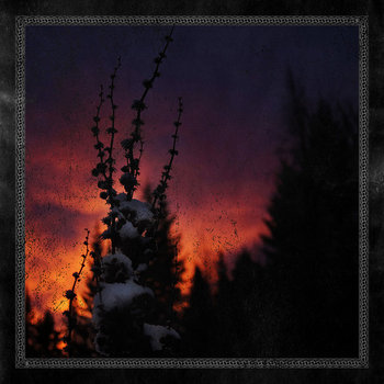 Album artwork for Nocturnal Womb