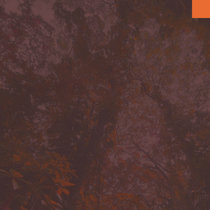 tribute to madvillain cover art