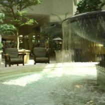 Fountain View cover art