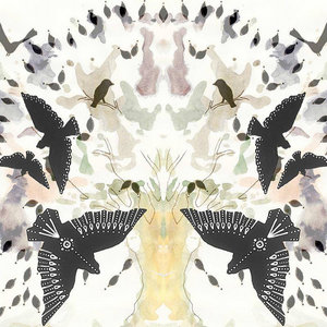 Freefall cover
