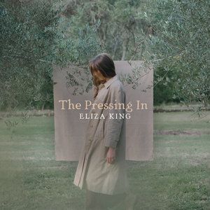 The Pressing In cover