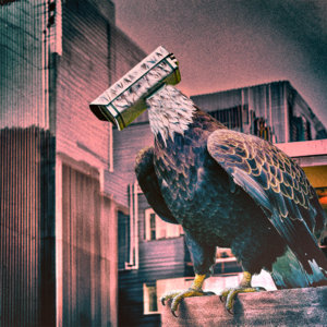 Birds Aren't Real cover