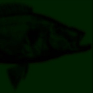 Gregg Skloff — Samakat kharij alma'