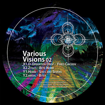 Various Visions 02 | Circle Vision