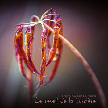 Le Réveil de la Sorcière - Perilous Vale sorcière,musique contemporaine,musique francaise - Perilous Vale - Frank César LOVISOLO - Composition pythonisante, sibylline et musicale pour une sorcière allégorique qui se réveille d'un long sommeil incorporel... Pour trois synthétiseurs, deux pianos trifouillés, une contrebasse, batterie avec quelques percussions complémentaires, une flûte orientale virtuelle le Ney (nay, naï ou nâi), des voix empreintes d’une sorcellerie paganiste, féminine et phonique, un petit texte , des cordes irréelles, quelques sons à conséquence de catalyse et, pour finir, des effets acoustiques qui conjugueront diablement le tout. For three synthesizers, two trifling pianos, a double bass, a drums with some complementary percussions, a virtual oriental flute the Ney (nay, naï or nâi), voices marked by a paganist sorcery, feminine and phonic, a small text, unreal strings, some catalytic-consequent sounds and, finally, acoustic effects that will diabolically conjugate the whole.