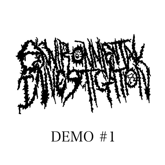 DEMO #1 | Environmental Investigation