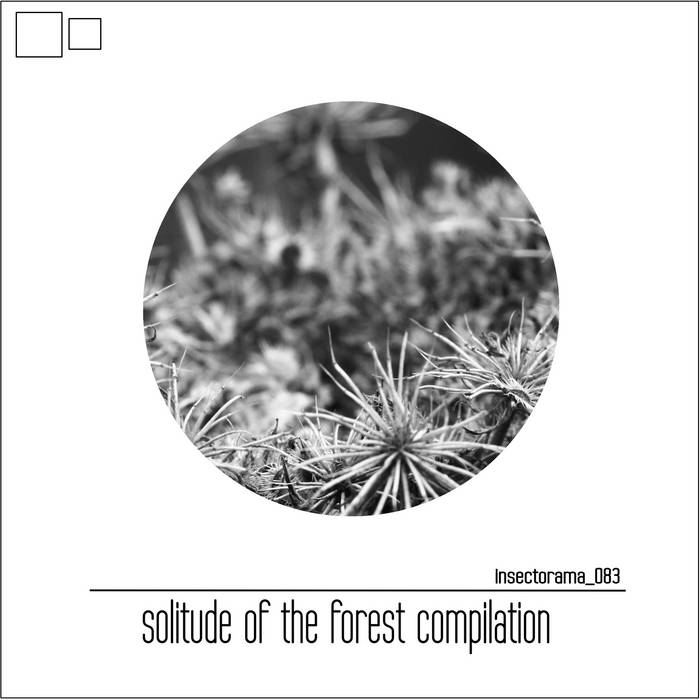 Various Artist – solitude of the forest compilatio