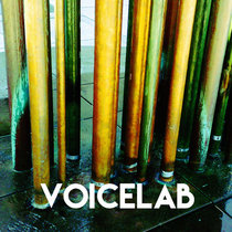 Voicelab cover art