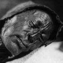 Disrotted Demo cover art