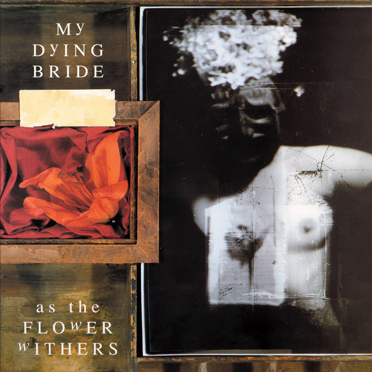 激安直営店 As the Peaceville | Bride Dying My | Withers Flower ポップス+ロック(洋楽)