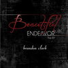 Beautiful Endeavor...The EP Cover Art