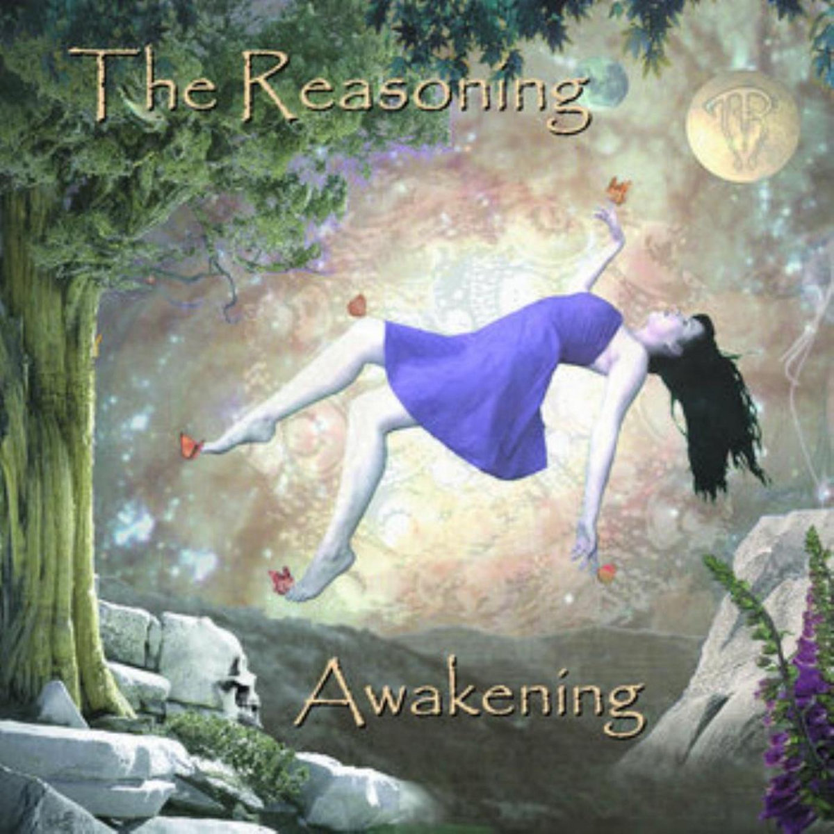 Awakening | The Reasoning
