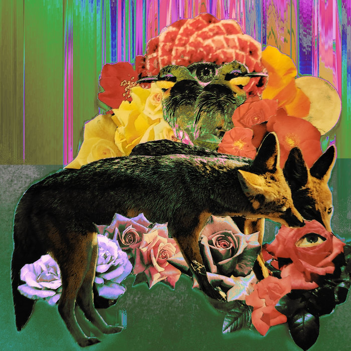 Soft Decay Core soft decay | Creature Habits
