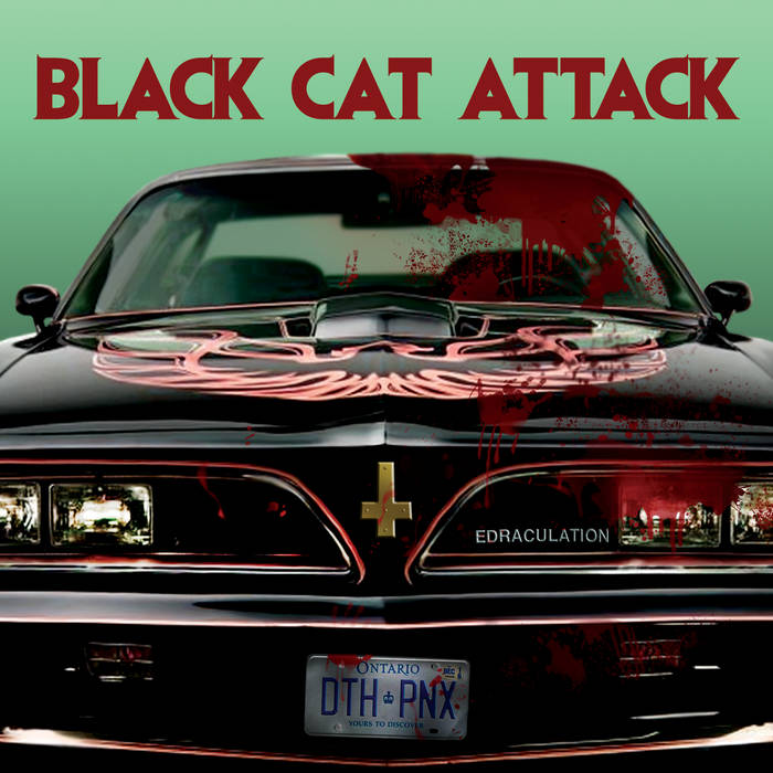 Black Cat Attack