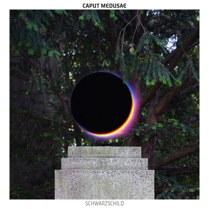 s*a様 T.caput-medusae 'Sonoran ' x T. チランジア ／ カプトメデューサ ソノランスノー (T.caput-medusae