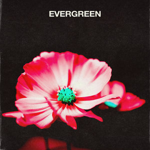 Evergreen cover