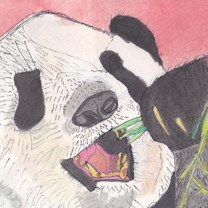 Panda Ep cover