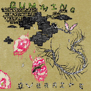 Gumming — OVERRIPE