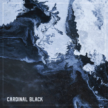 Cardinal Black | Cardinal Black